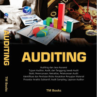 Image of Auditing